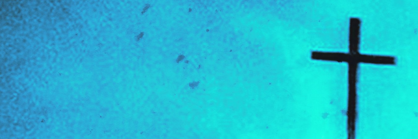 tvp's banner