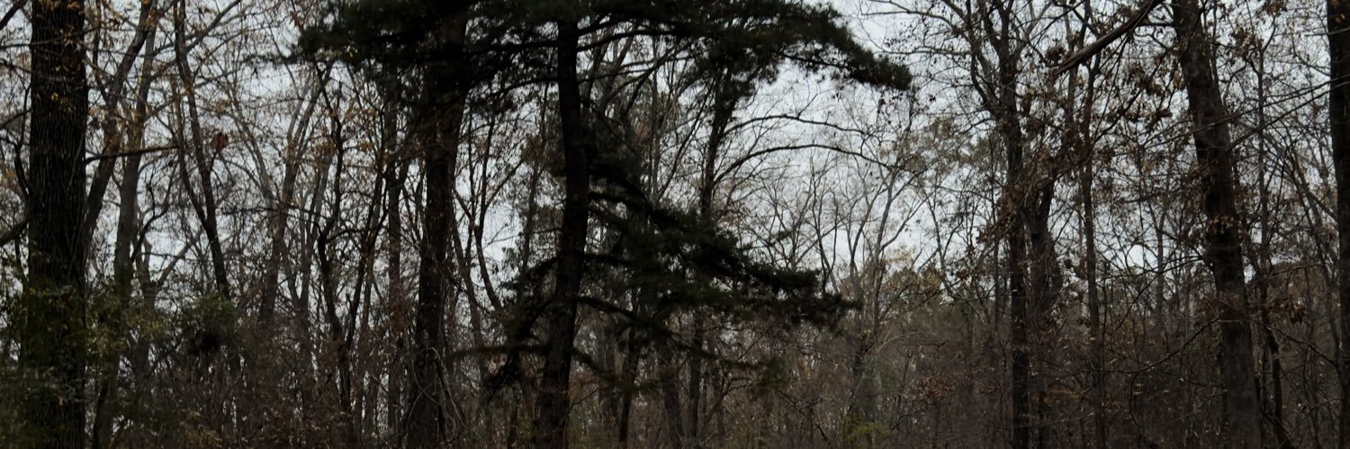 SamRyanStudio's banner