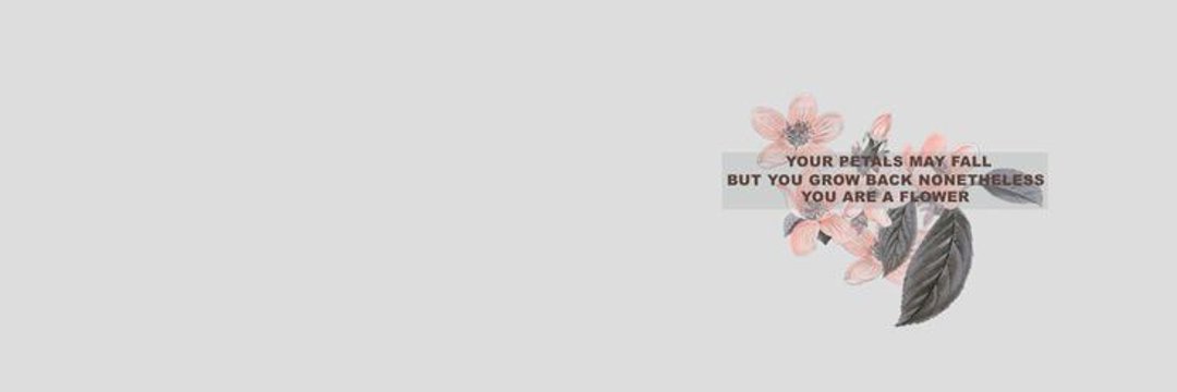 Lubna 🦢's banner