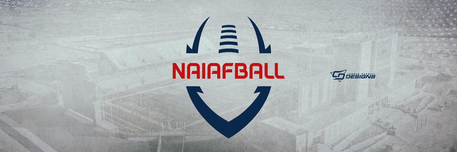 NAIAFBALL's banner