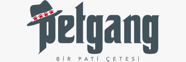 IREM ALTUG's banner