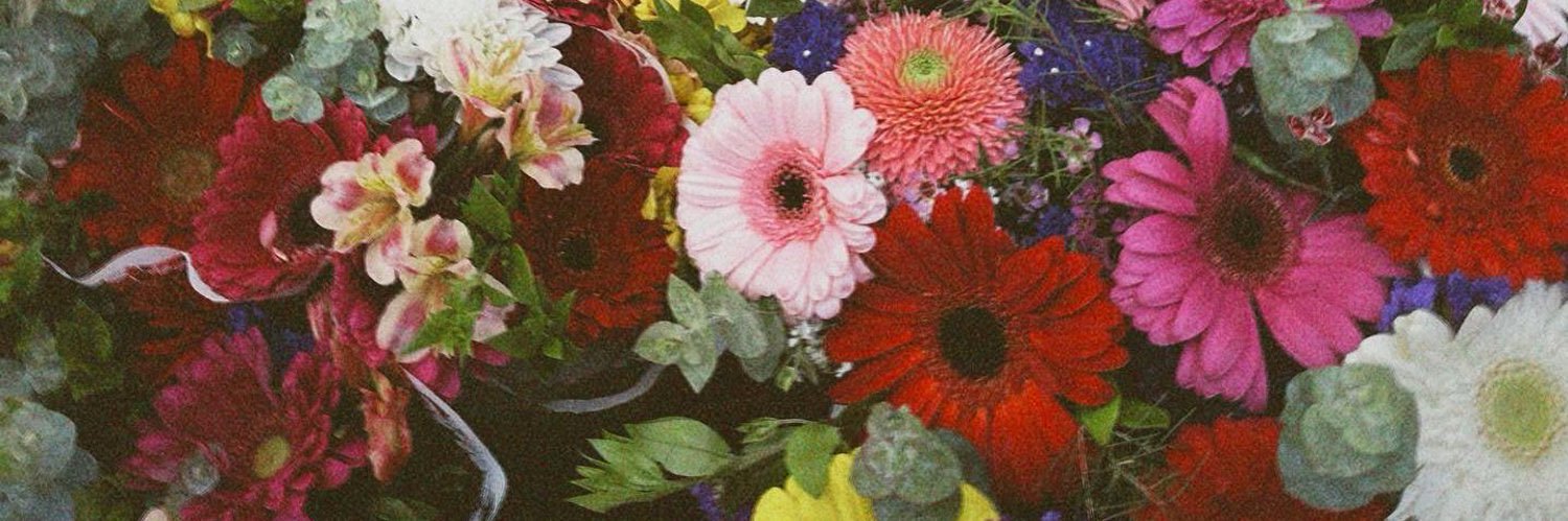 CP, MSLD's banner