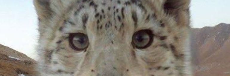 Лёвин Ярослав's banner