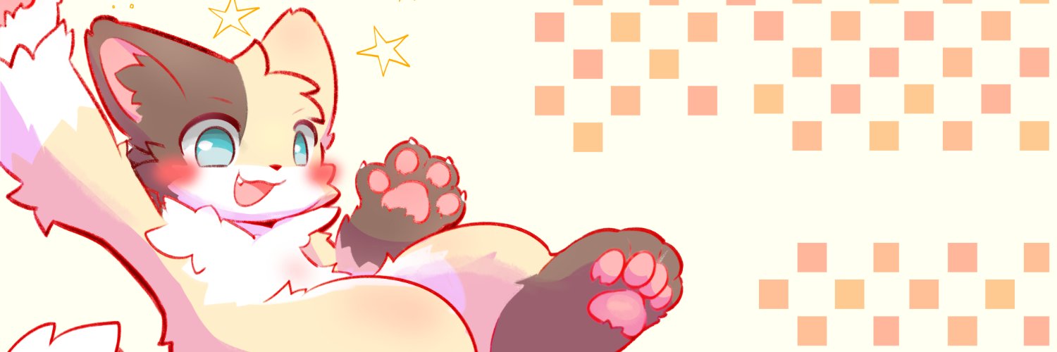 Gravity cat's banner
