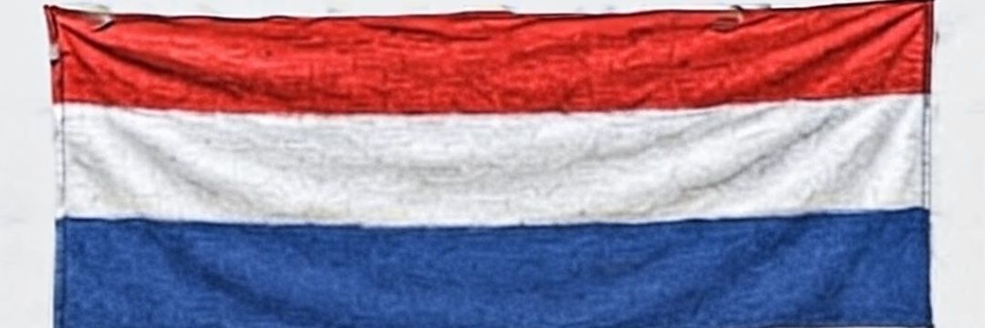 Maikel Boon - PVV's banner