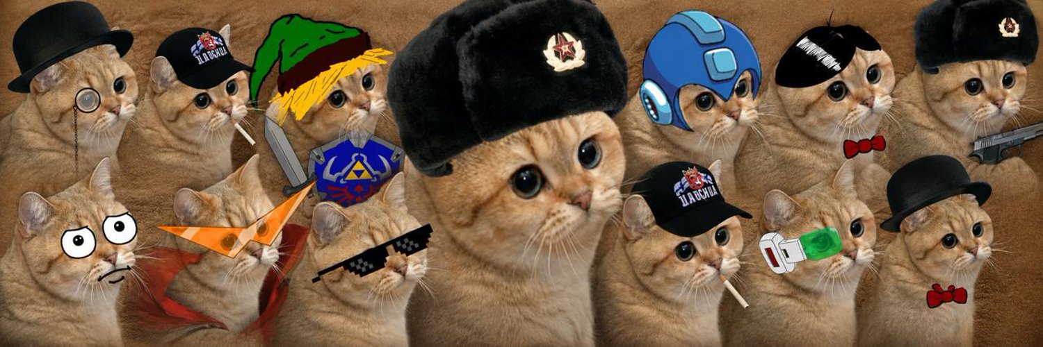 Helia (StareCat)'s banner