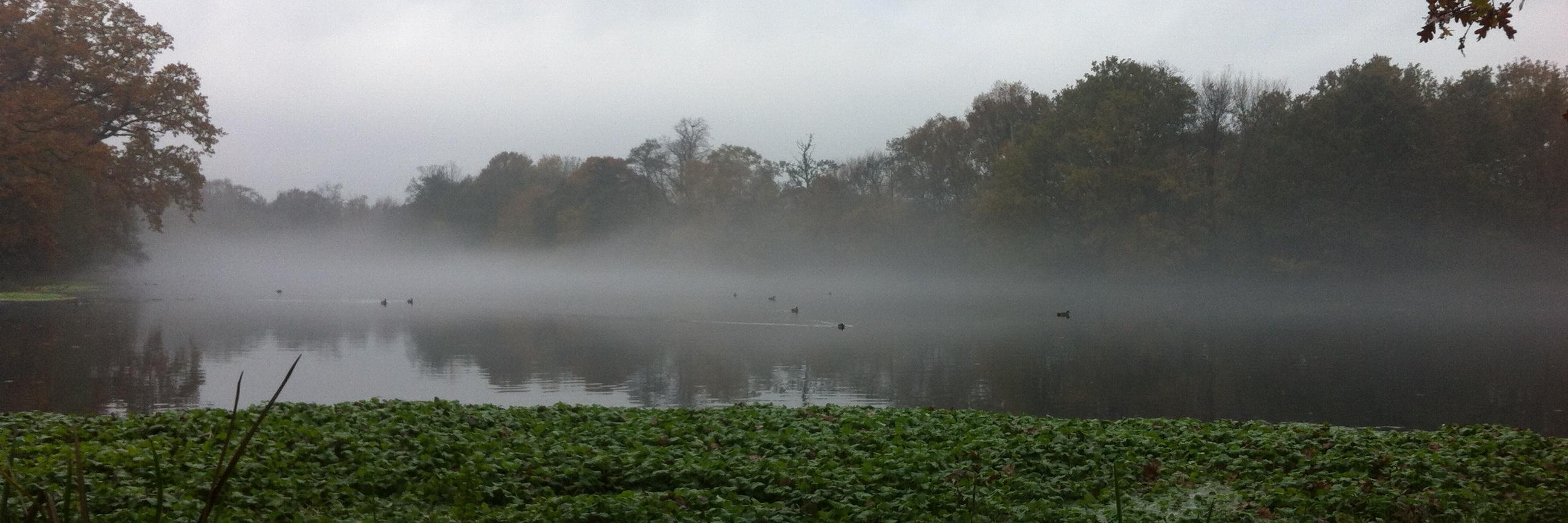 Wanstead weather's banner