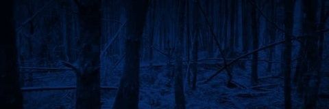 Did You Know?'s banner