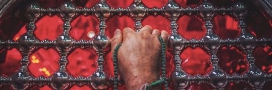 محمّدرضا تاجرنیا's banner