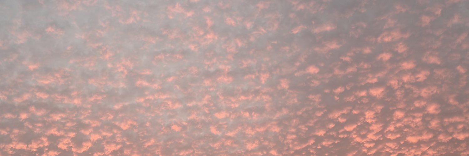 ‏ميلا الزهراني's banner