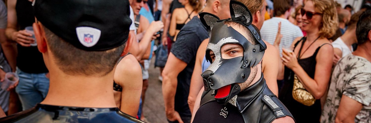 Frenchypup 🧸🇫🇷🐕🏳️‍🌈's banner