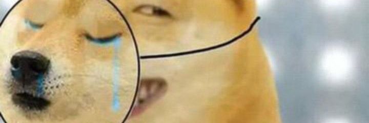 Jokes and More's banner