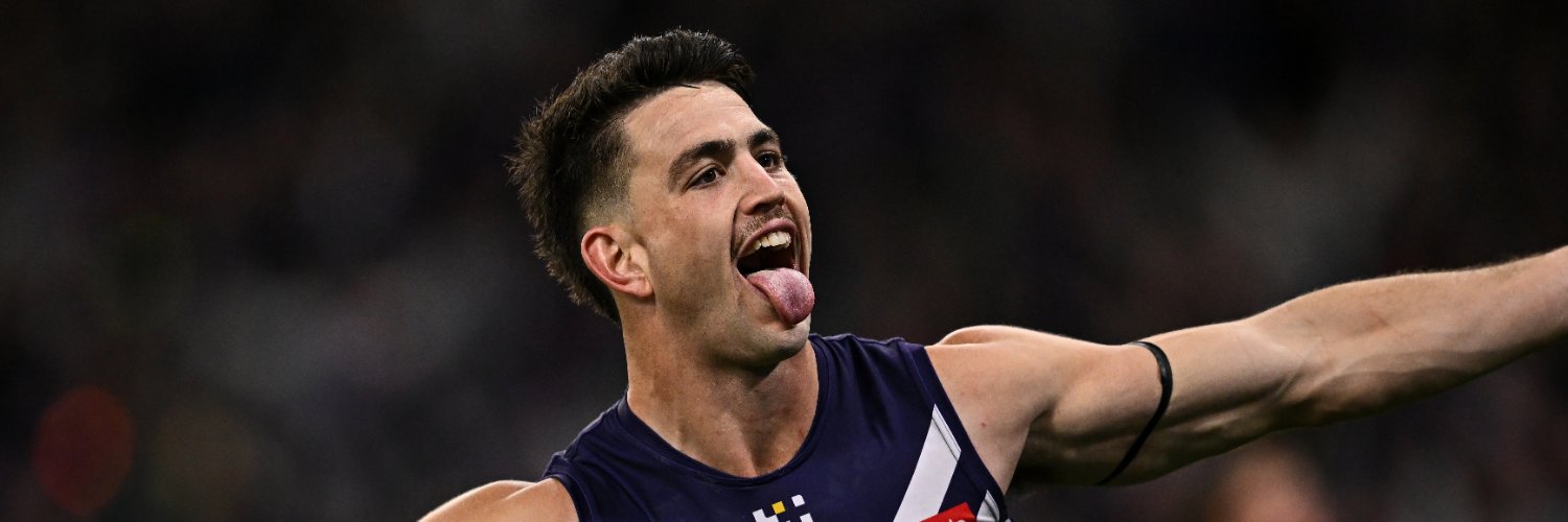Fremantle Dockers's banner