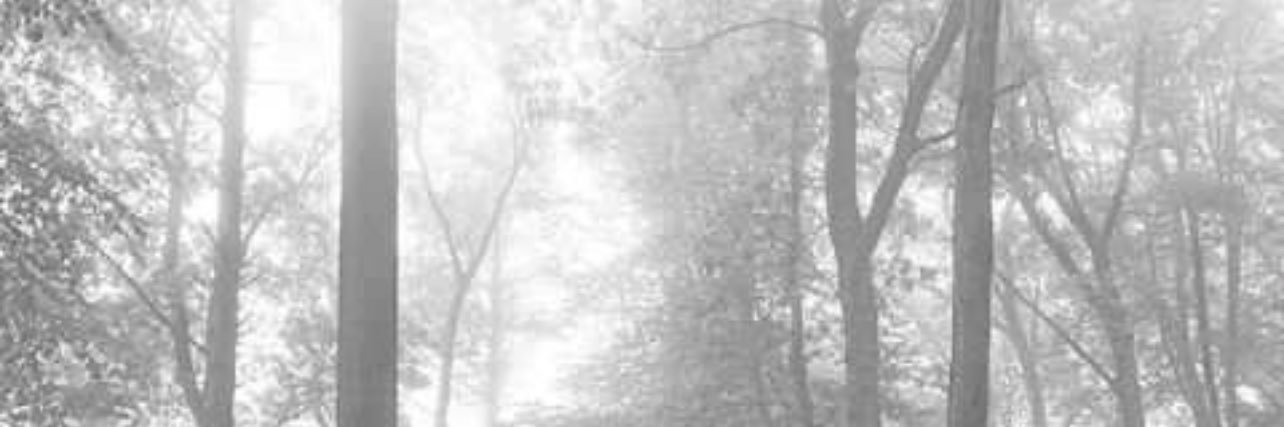 C's banner