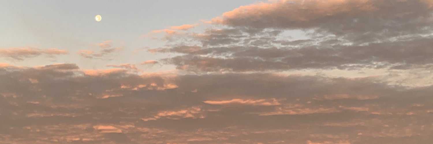 vividboooy's banner