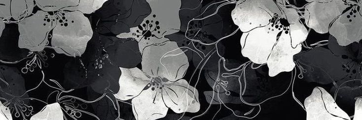 sofy's banner
