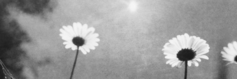 LACEY 🎧's banner