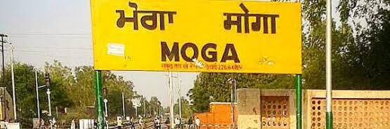 Punjab Puls's banner