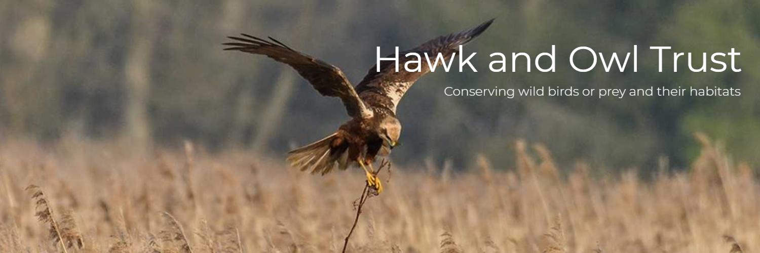 Hawk and Owl Trust's banner