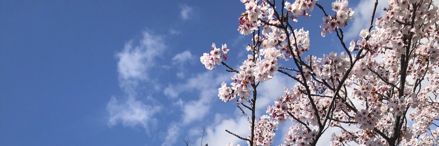 貴千碧's banner