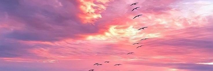 A L E J A N D R A 💖💜💙's banner