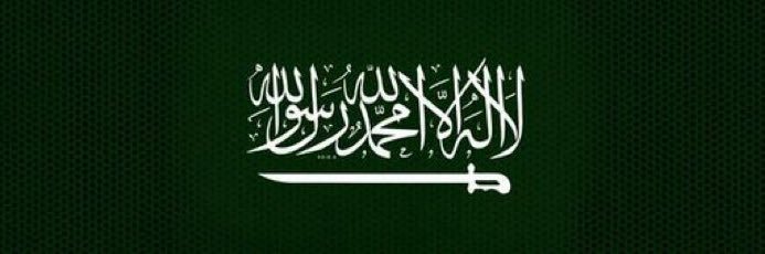 Ali Almansour| د.علي ال منصور's banner