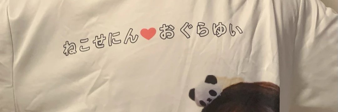 すべてを見抜く猫星人's banner