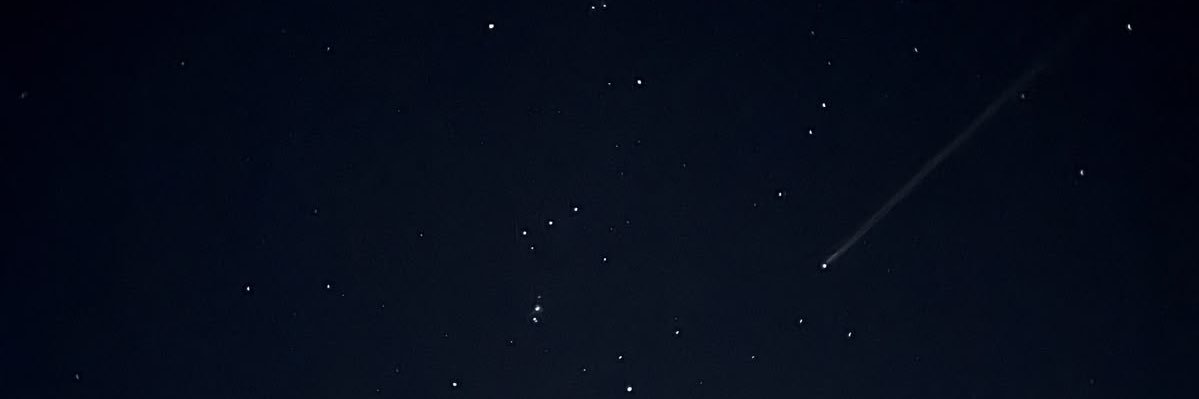 alinn's banner