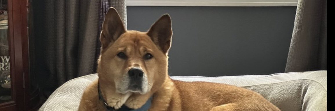 JamieLee's banner
