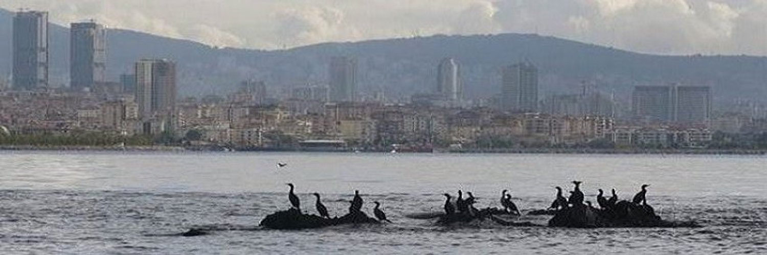 Tekin Kuzey | Cenevizlilerin Sır Kâtibi | 9999's banner