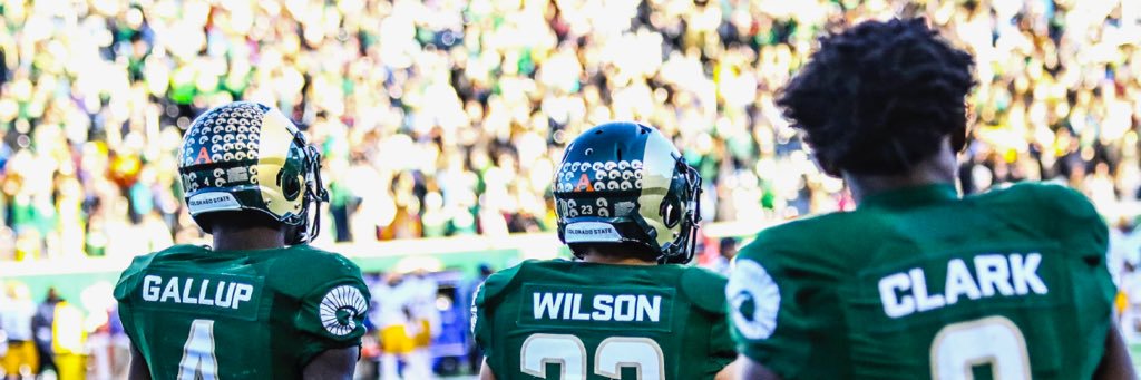 Michael Gallup's banner