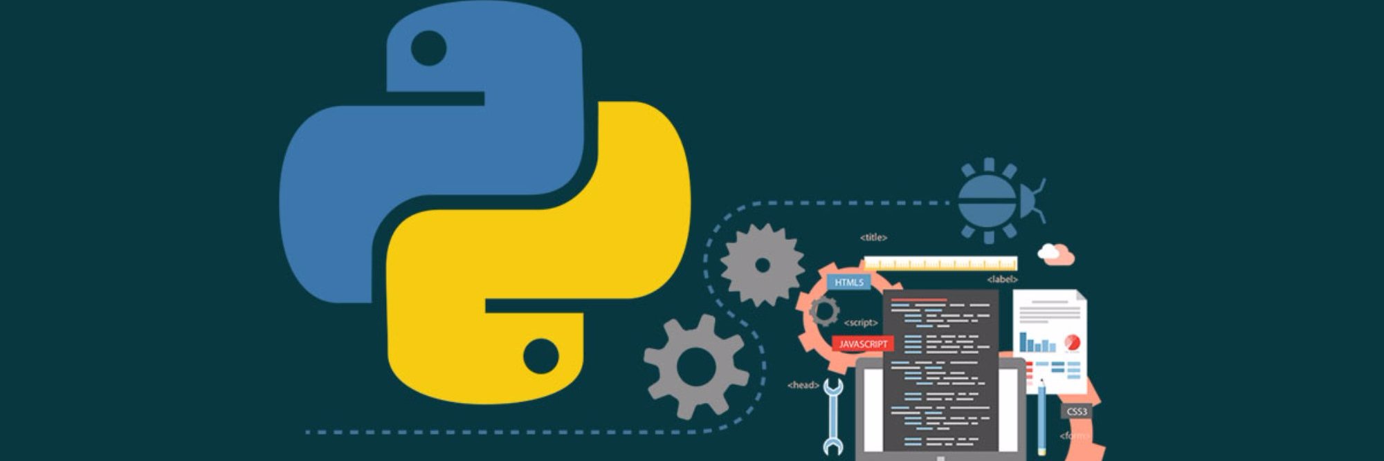 Python Programming's banner