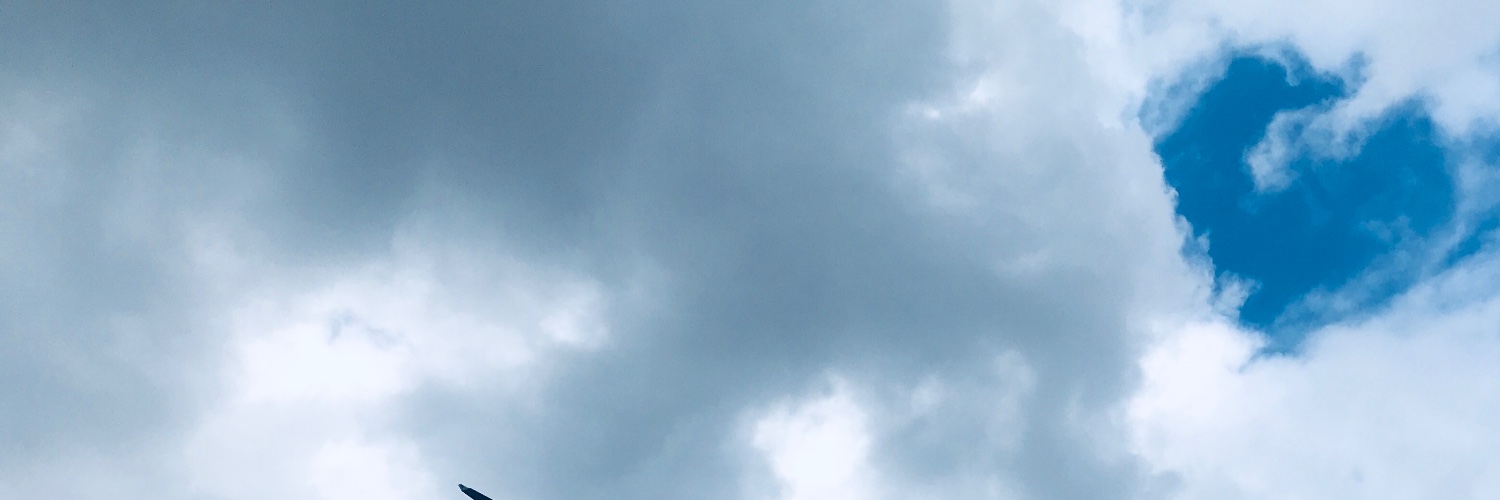 能猫's banner