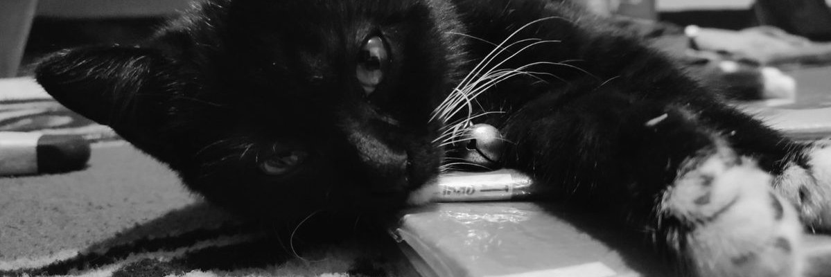 nathy;'s banner