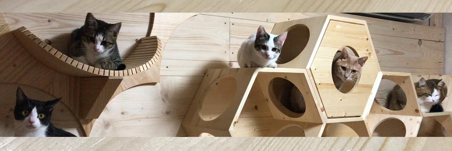 ひのき猫's banner