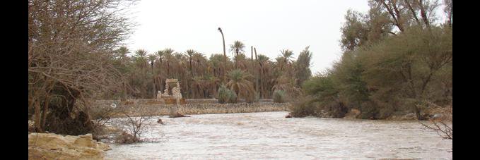 الصلبوخي's banner