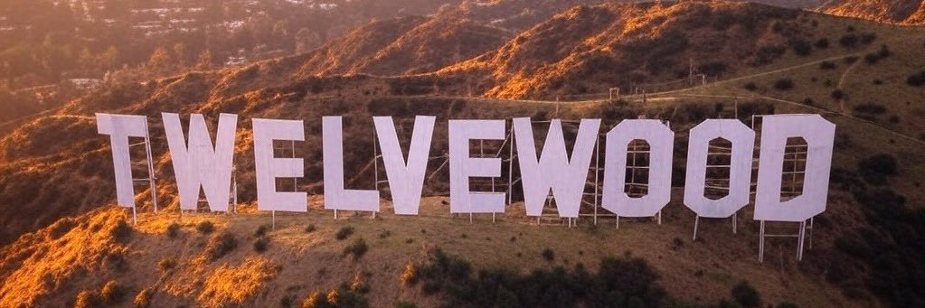 TWELVEWOOD's banner