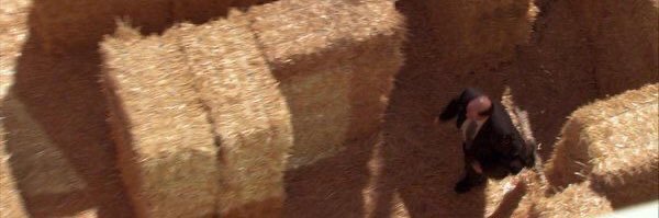Ryan Joseph Kirby's banner