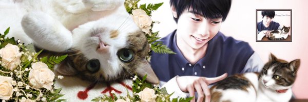 ミケたん໒꒱*:ஐ(●˘͈ ᵕ˘͈)ஐ:*. ฅ(•ᴗ•*ฅ)🍯🍊's banner