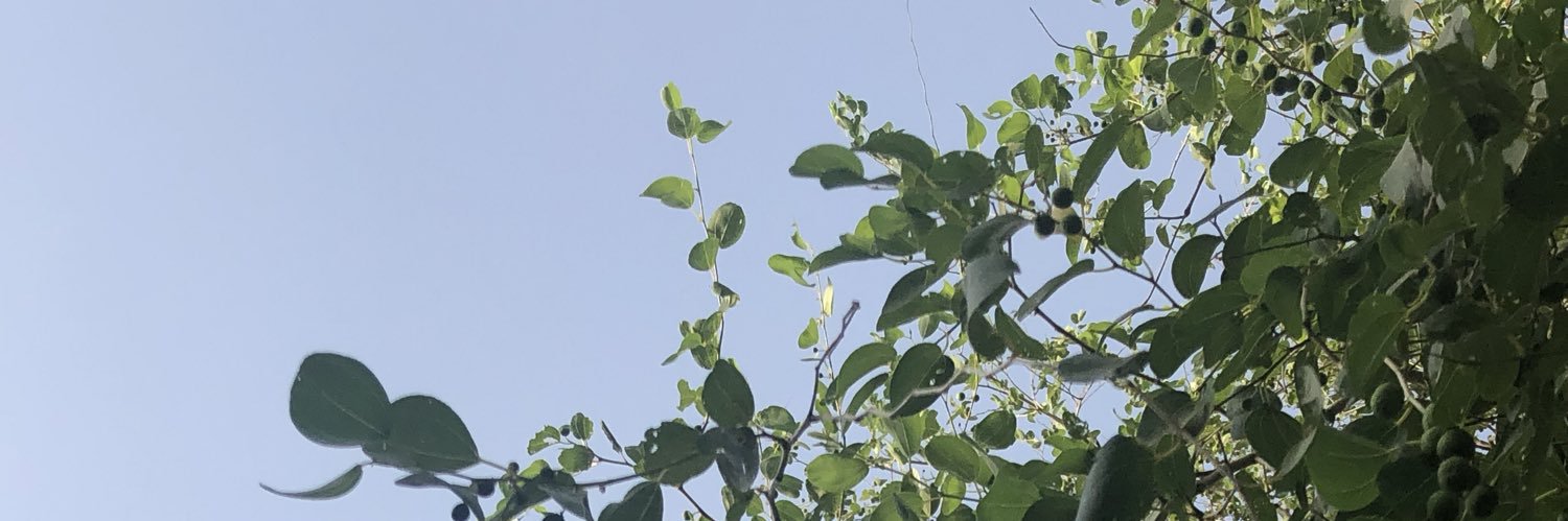 جواهر الخثلان's banner
