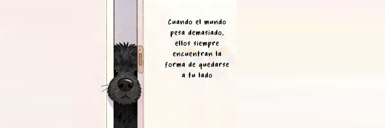 Ingeniero Miguel para ud 😁😉's banner
