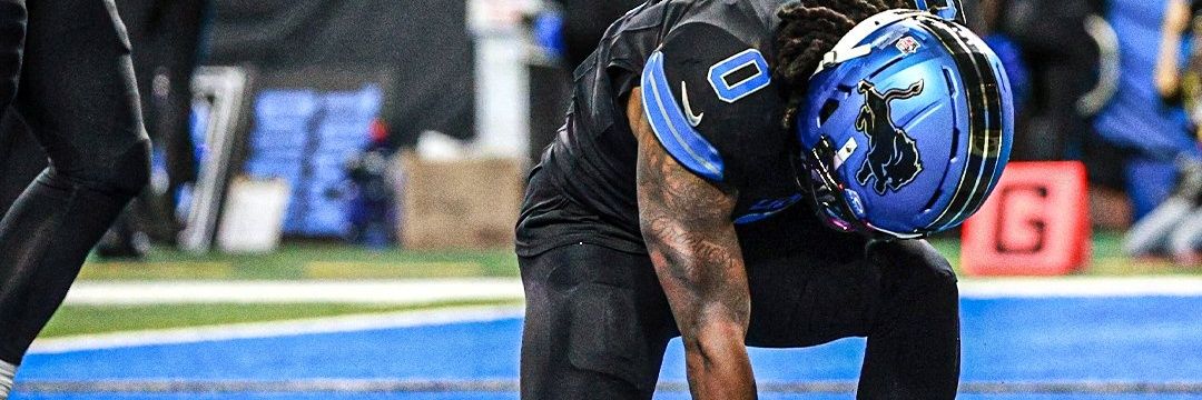 LIONS SUPERFAN(KneeCap Chronicles)'s banner