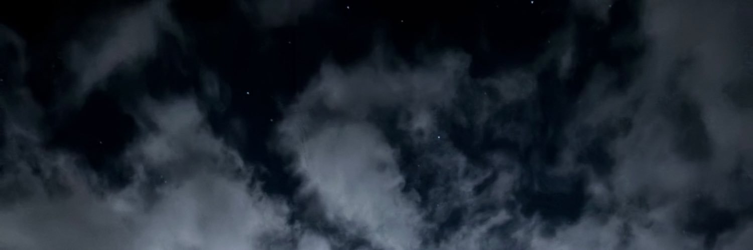 ana ☽'s banner