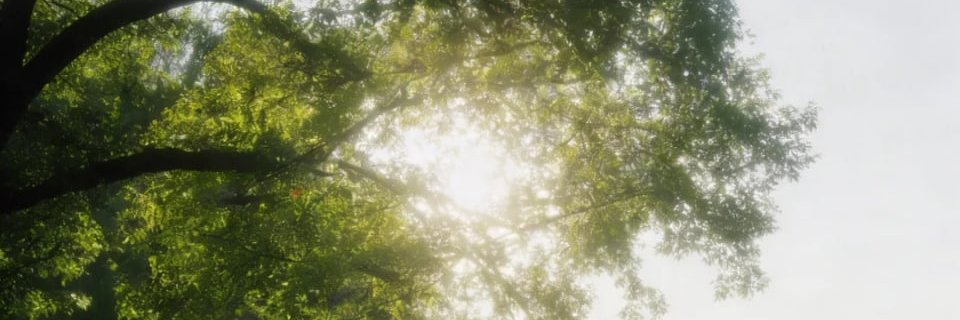 肿瘤科刘医's banner