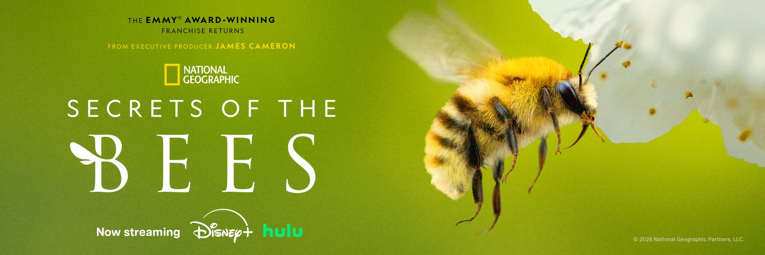 National Geographic Animals's banner