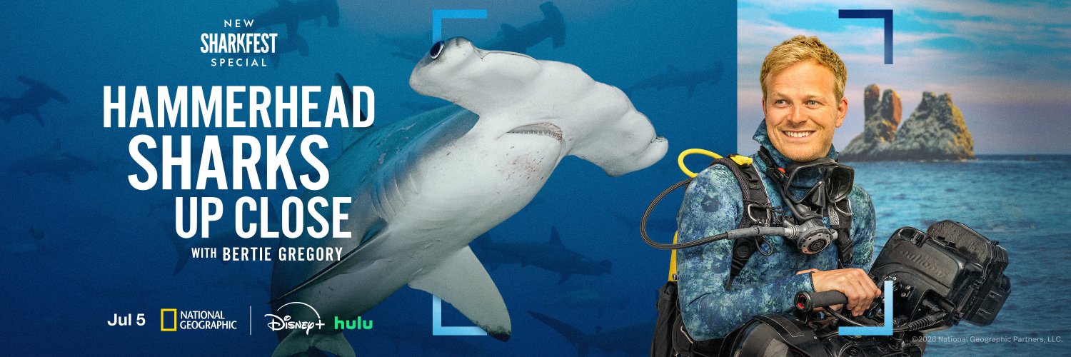 National Geographic Animals's banner