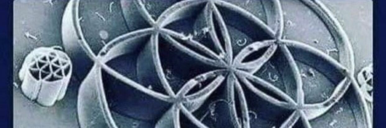 Lois 🌍💜Q👍's banner