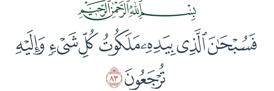 ربيع بن مقلم الخليفي ✍️'s banner