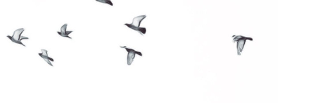 جود's banner