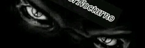 LECTOR NOCTURNO's banner